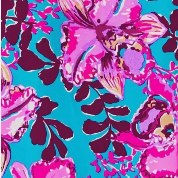 $498 NWT LILLY PULITZER MONNAE SILK MAXI CAFTAN DRESS BLUE ORCHID YOU NOT XS - Picture 5 of 8